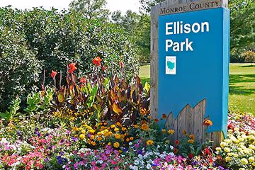 Ellison Dog Park photo 1